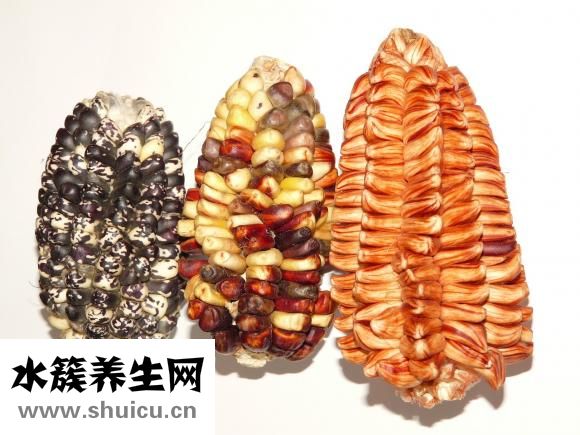 吃玉米会胖吗