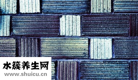 五谷杂粮功效