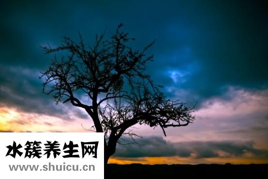 手指没月牙