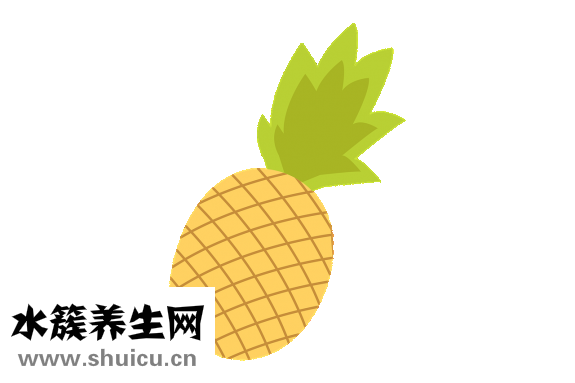 孕妇可以吃西梅吗