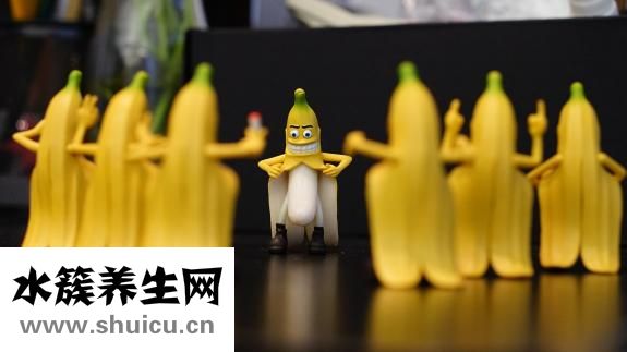 减肥中药处方