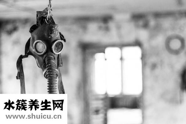 仙人掌可以防辐射吗