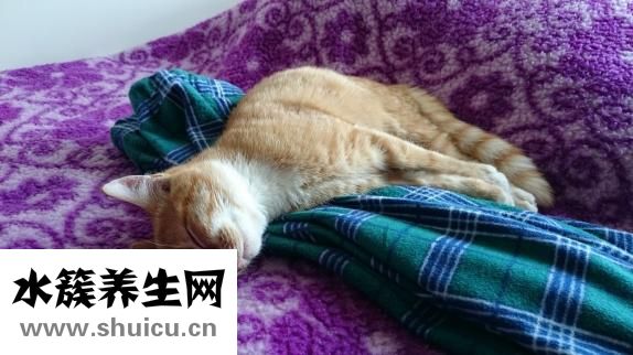 丙戊酸钠口服液