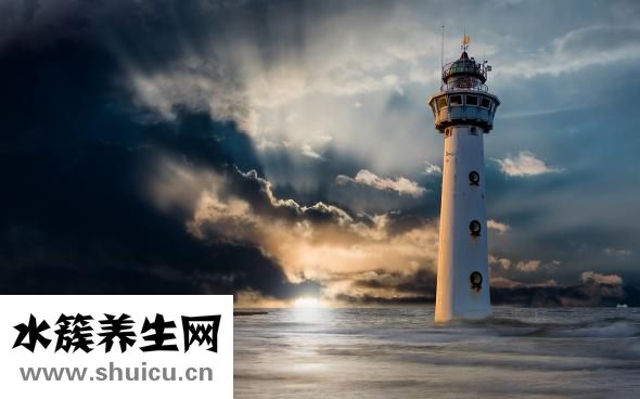 托槽掉了怎么办