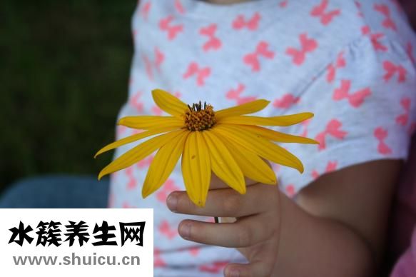 孕妇食谱大全
