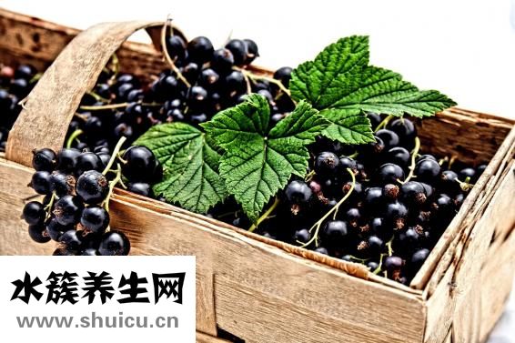 孕妇能吃龙眼吗