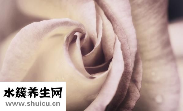 取环要多少钱