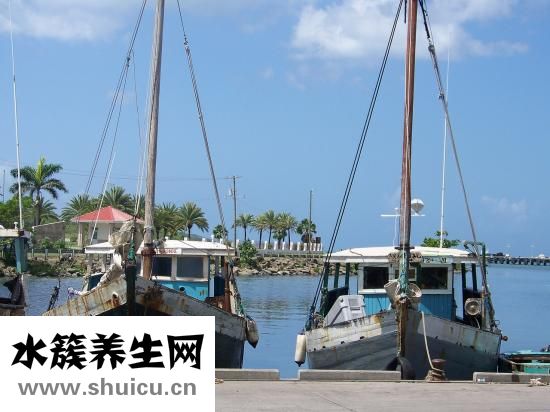 一共多少颗牙