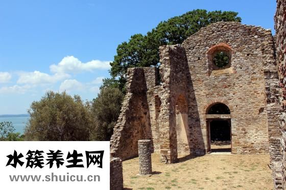 孕妇可以吃西梅吗