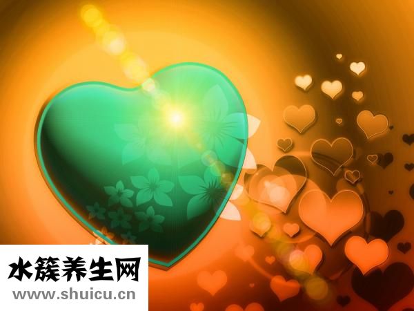 吴茱萸图片