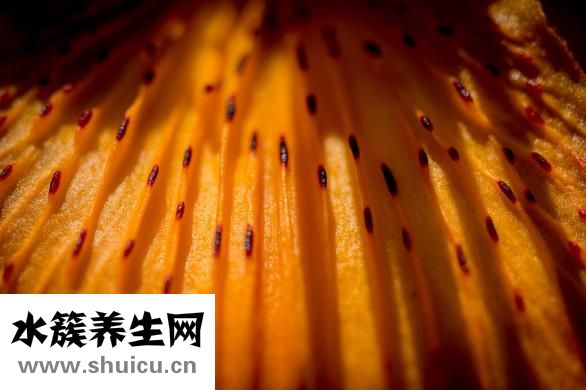 怎样自学针灸