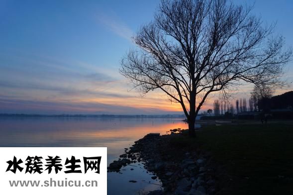 孕妇可以吃西梅吗