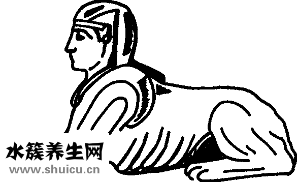 五灵脂是什么东西