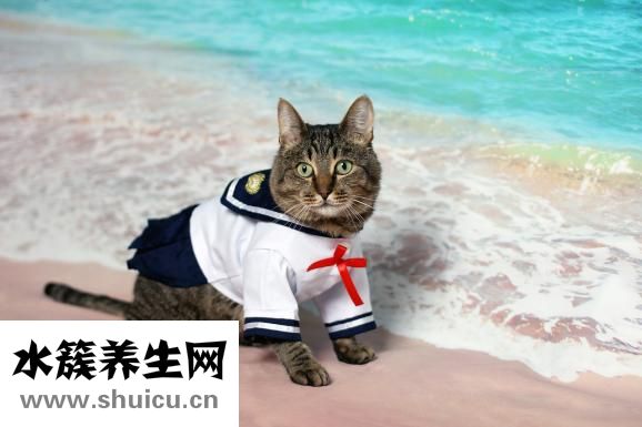 四价疫苗注意事项