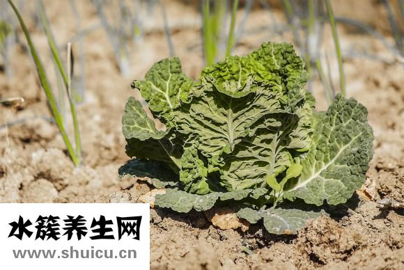 元宵节吃汤圆
