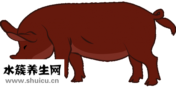 为什么会鼻塞