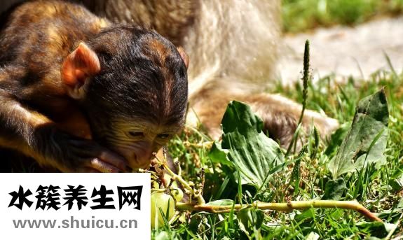 孩子几岁开始说话