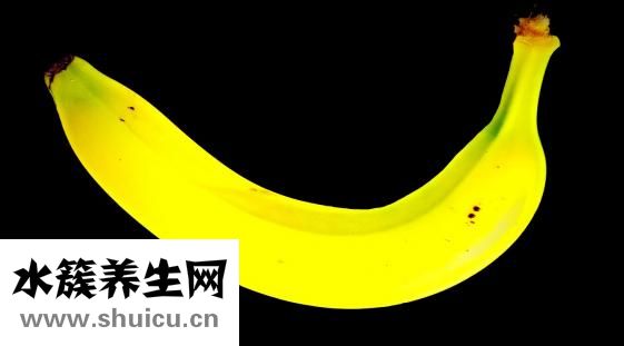 天牛吃什么