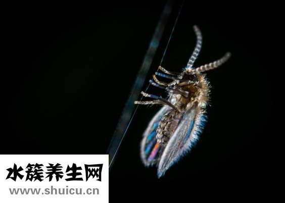 手臂出现红斑可能是因为皮肤病造成