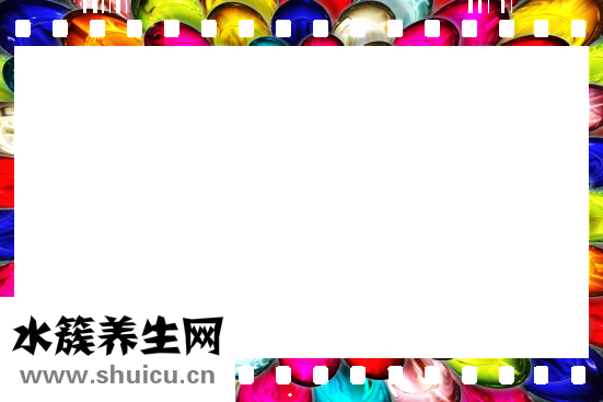 吴茱萸图片