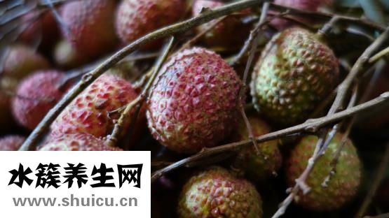 孕妇能不能吃荔枝