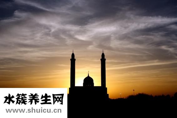 五皮风的功效与作用