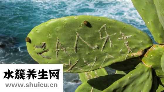 土豆烧牛肉怎么做