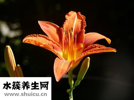 怎么让例假快点来