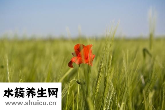 心律不齐如何治疗