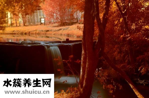 嗓子哑是什么原因