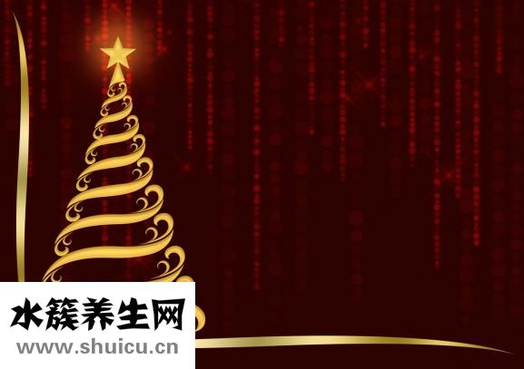 什么油比较好