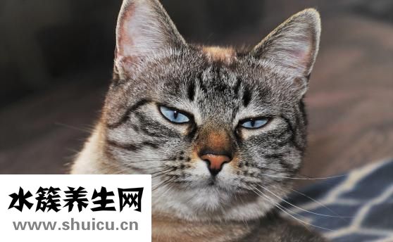 右手小拇指发麻