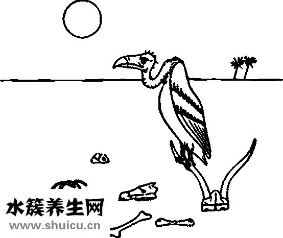 婴儿肥脸型图片