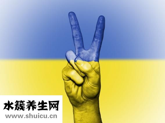 手肿了怎么消肿