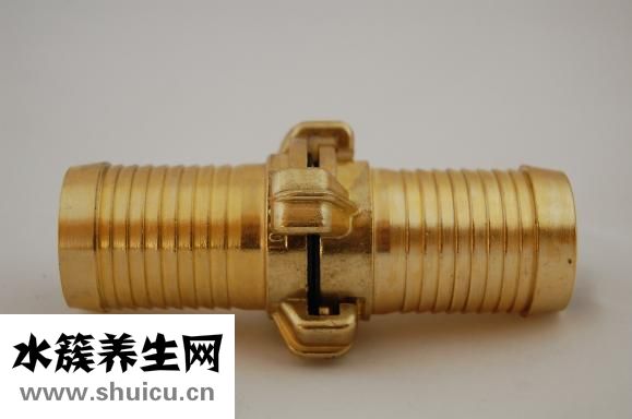 小根蒜的功效与作用
