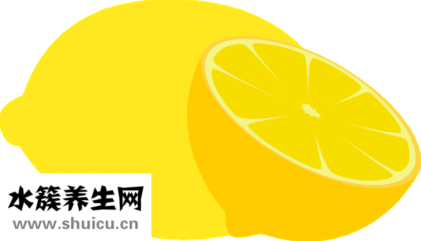 乙酸乙酯化学式