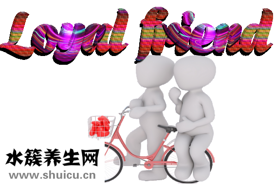 什么油比较好