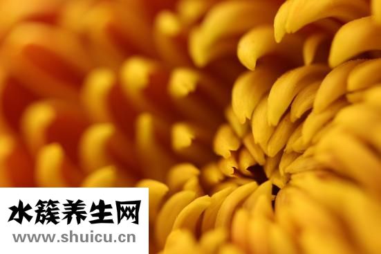 早上喝黑咖啡的好处