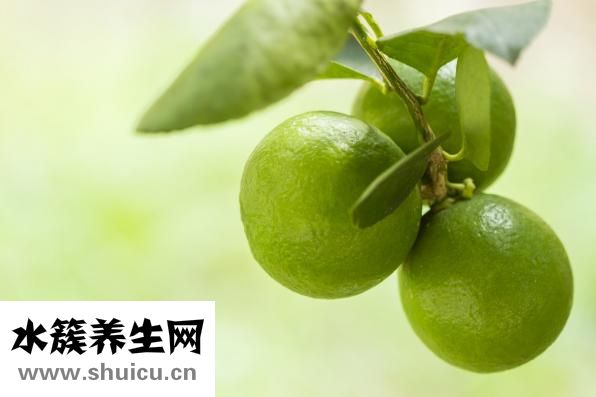 乙酸乙酯化学式