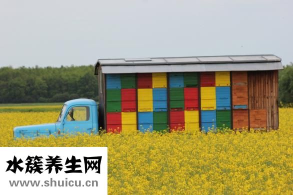 什么是水中毒