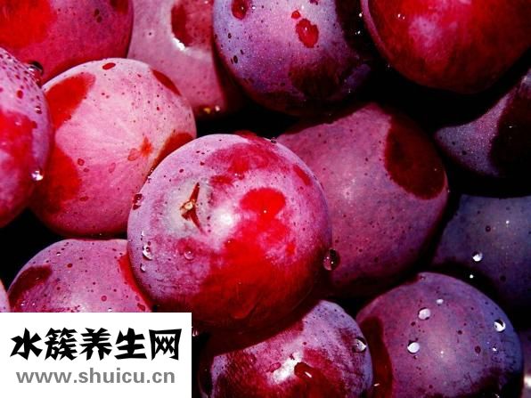 孕妇去毒汤