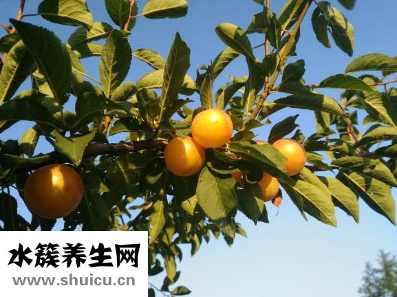 头发起静电怎么办？可以这样做！