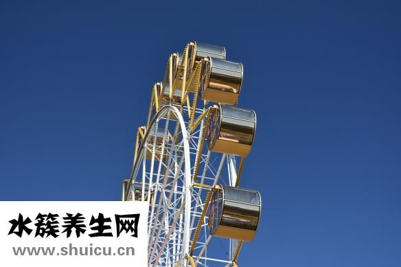大肠和小肠的区别