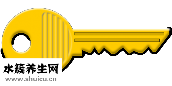怎么保养肾