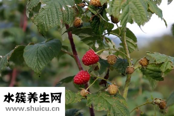 怎么让例假快点来