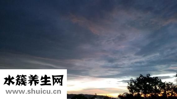 打点滴氨基酸的作用