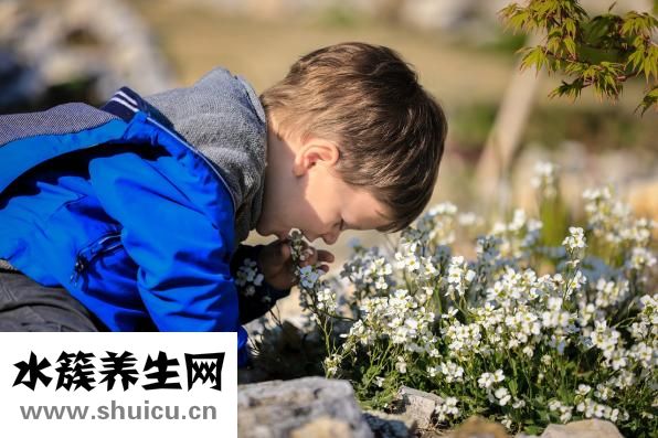 乌梅丸的功效