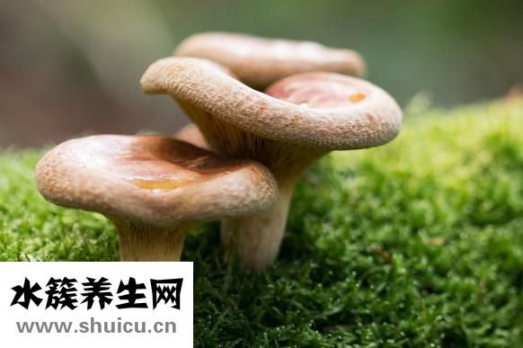晚上吃草莓