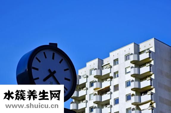怎样煮茶叶蛋