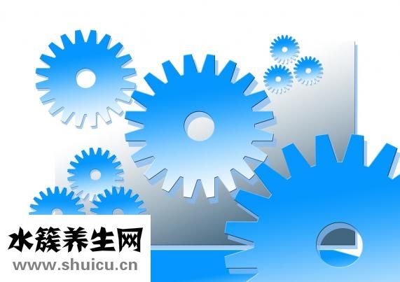 成年牙齿矫正
